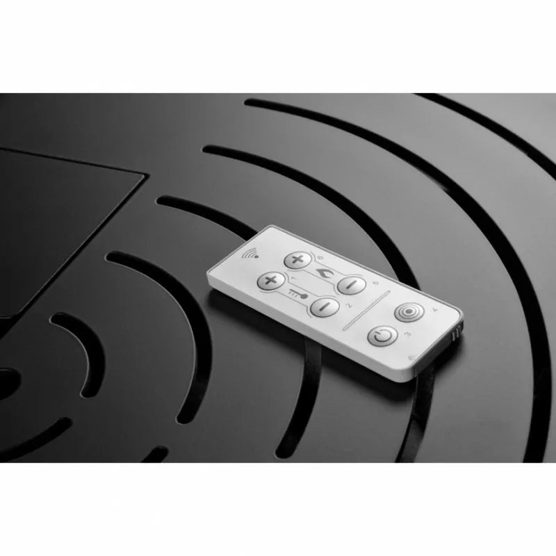 Raumluftunabhängiger, kanalisierbarer Pelletofen Anna – 12 kW